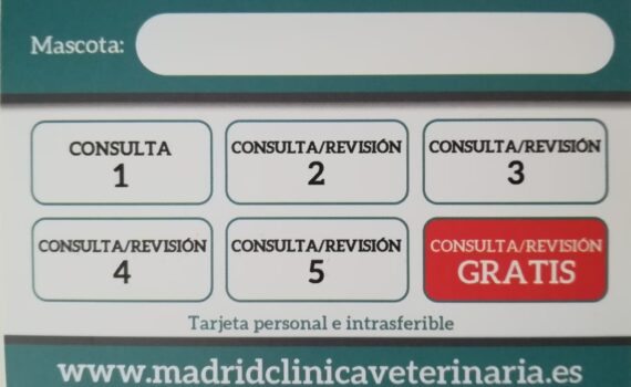 Clínica veterinaria en Ciudad Lineal Madrid