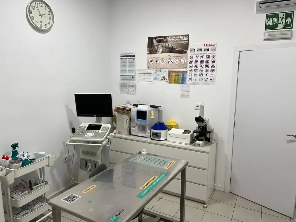 clinica-veterinaria-suanzes-instalaciones-consulta