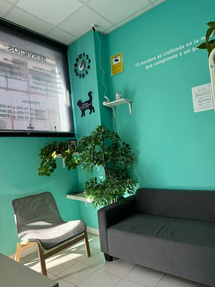 clinica-veterinaria-suanzes-instalaciones-entrada-lateral