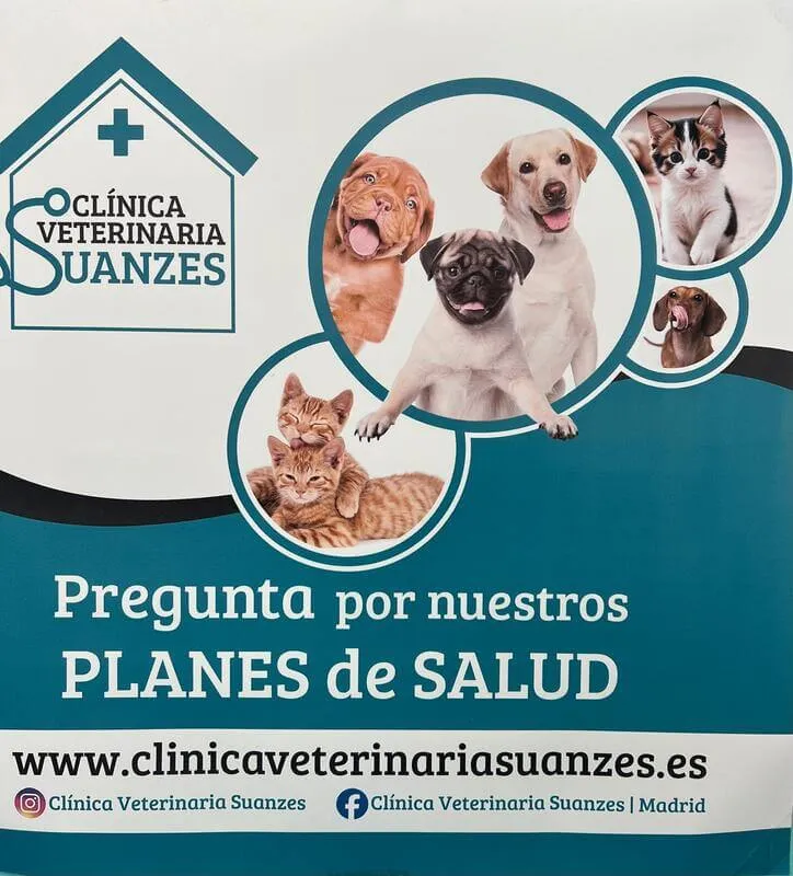 planes de salud suanzes