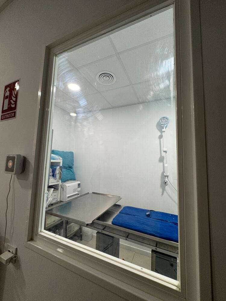 quirofano propio en veterinario en suanzes