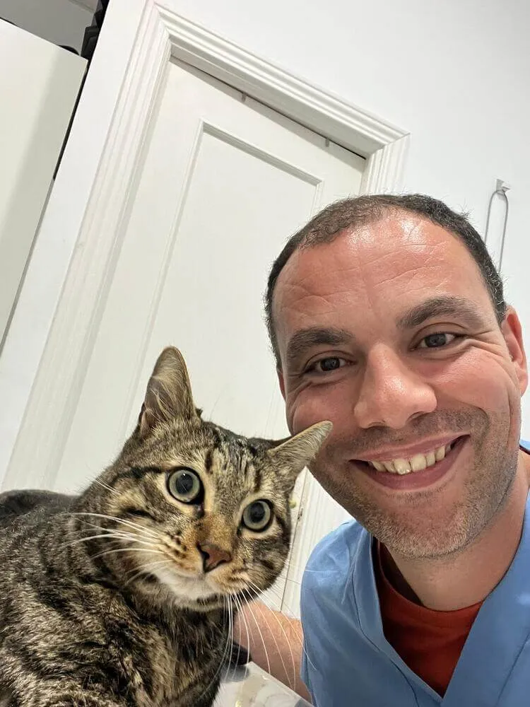 veterinario felino en madrid y ciudad lineal (4)