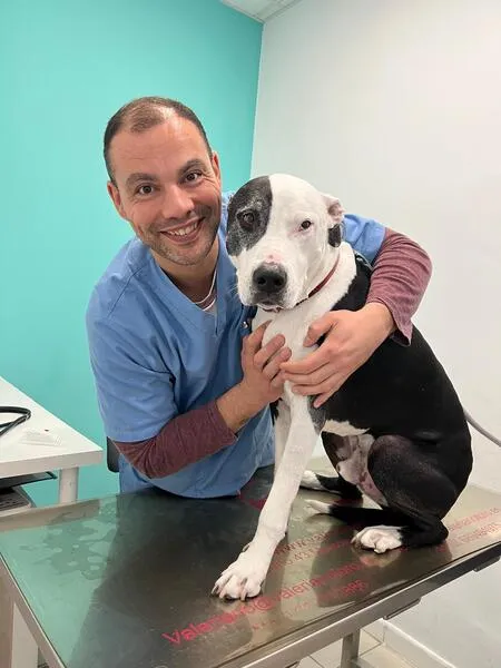 veterinarios en suanzes (1)