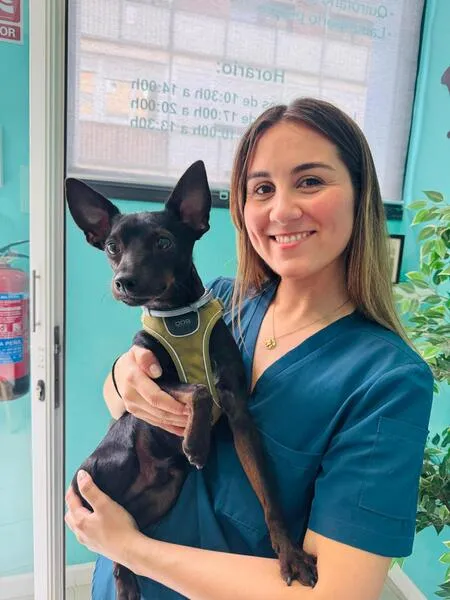 veterinarios en suanzes (10)