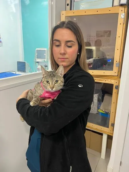 veterinarios en suanzes (2)