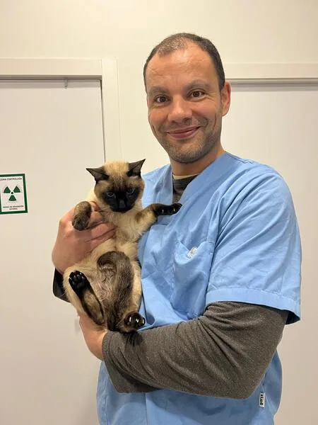 veterinarios en suanzes (3)