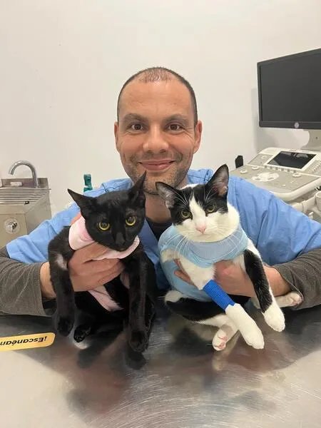 veterinarios en suanzes (5)