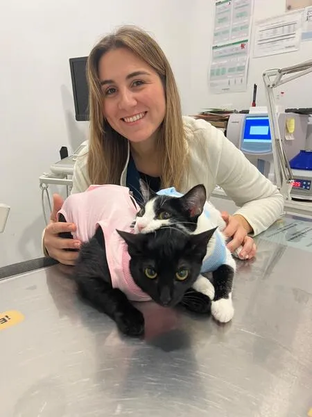 veterinarios en suanzes (6)