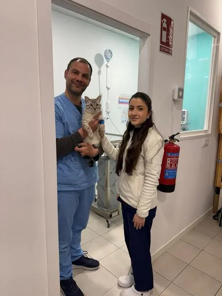 veterinarios en suanzes (7)