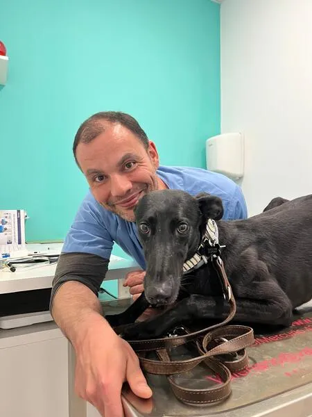 veterinarios en suanzes (8)