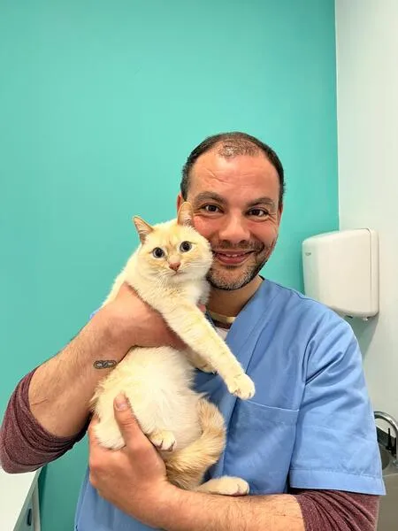 veterinarios en suanzes (9)
